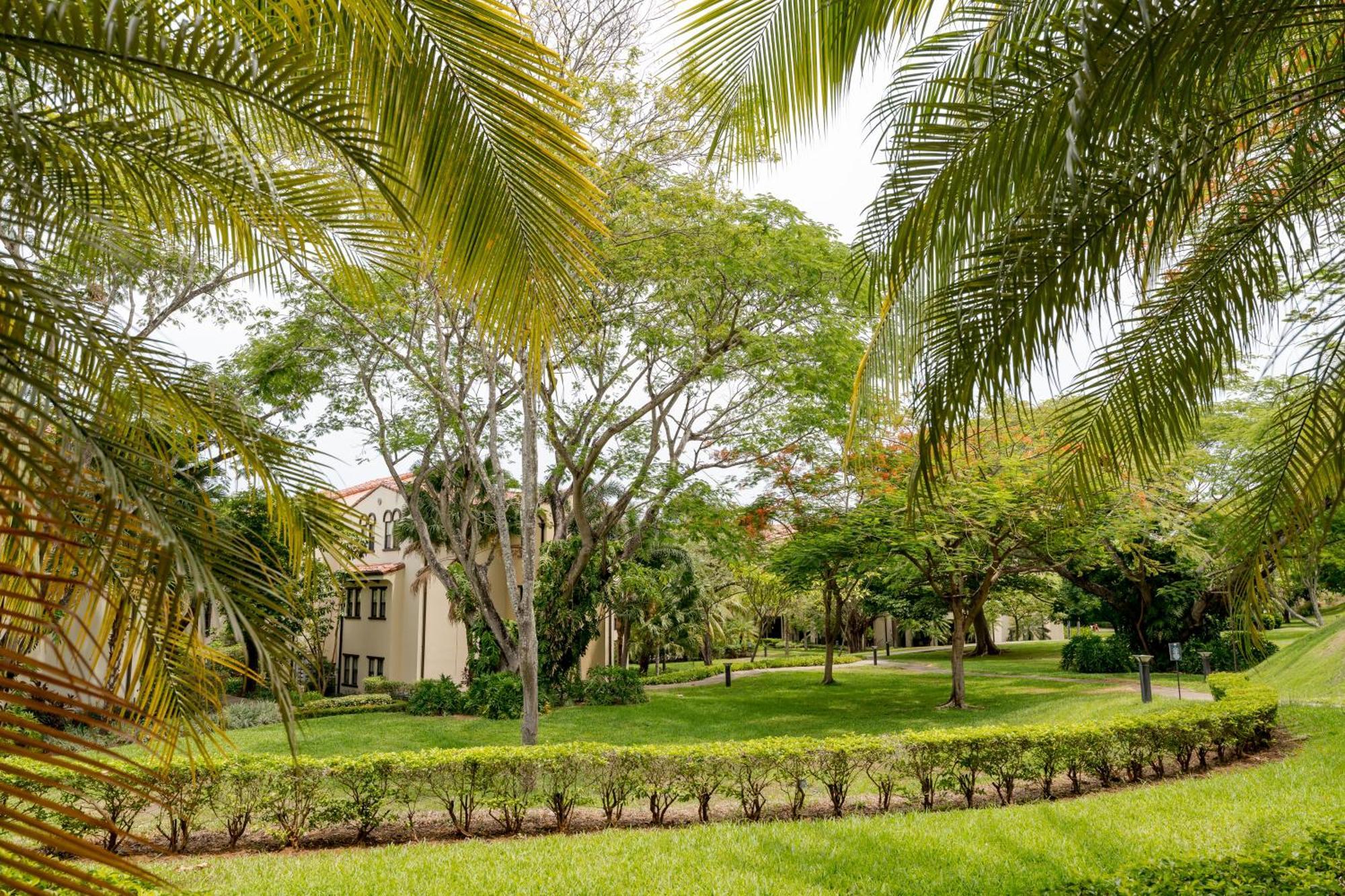 Coco Breeze Pacific Apartment Exterior foto